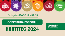 Soluções BASF  Hortifrúti - Hortitec 2024
