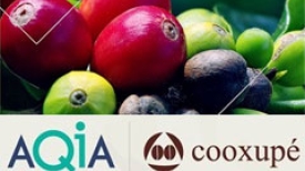 Lançamento de Joint Venture