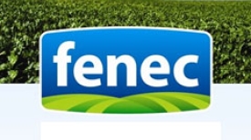 8ª Fenec