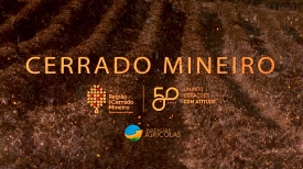 Especial Cerrado 50 anos