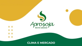 Clima e Mercado | Aprosoja MT