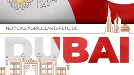 Expo DUBAI UAE / Gulfood 2022