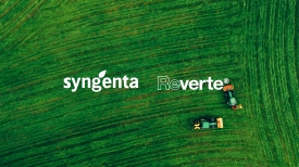 Syngenta - Reverte