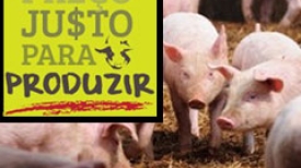 Ato Público dos Suinocultores Brasileitos