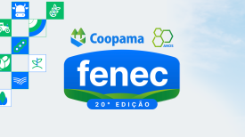20ª Fenec