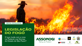 Mesa Redonda - Legislação do Fogo | Assomogi