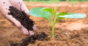 Cresce-o-uso-de-bioinsumos-nas-lavouras-brasileira0309107300202107161552