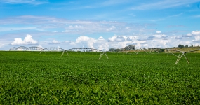 Soja Irrigacao - CNA (5)