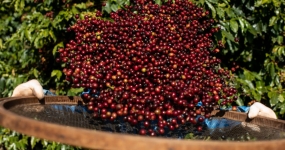 WhatsApp Image 2025-10-02 at 13.01.34