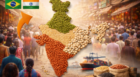 1d3c201b-0fd8-42c3-9aca-de20e1b1804a