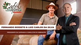 #223 thumb CAPA SITE