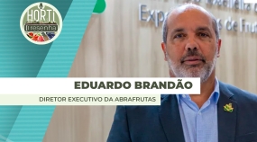 BRANDAO 2