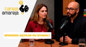 CANELA AMARELA