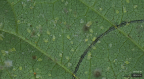 Captura de Tela 2026-01-21 às 10.00.15