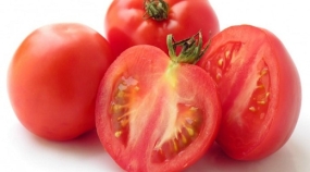 Tomate Destaque Cepea