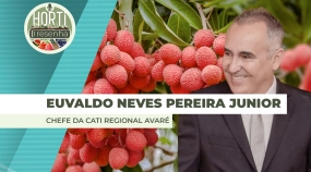 EVERALDO