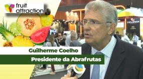 Guilherme Coelho_site