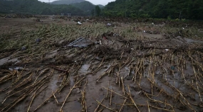 Milho destruído pelas chuvas na China