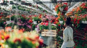 multiracial-couple-of-gardeners-working-in-a-green-2025-04-01-13-10-37-utc