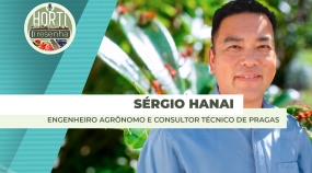 Sérgio Hanai - THUMB ST - HORTI RESENHA