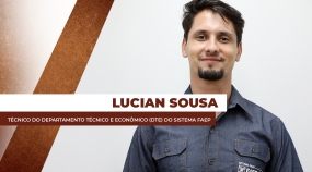 thumb Lucian Sousa 2