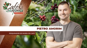 thumb Pietro Amorim 1