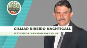 THUMBS - SITE - PDC - gilmar