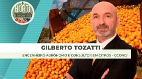 THUMBS - SITE - PDC - glberto