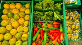 WhatsApp Image 2026-03-18 at 13.48.01 (1)