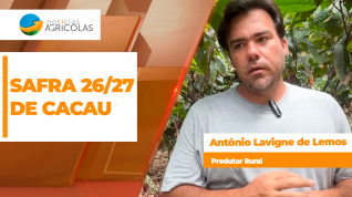 BOLETINS THUMB CACAU