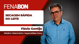 FLAVIO CONTIJO