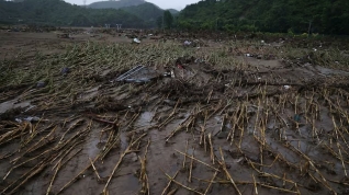Milho destruído pelas chuvas na China