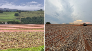 Plantio 26-27 soja