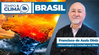 T&C BRASIL