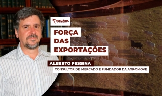 Alberto Pessina - Consultor de mercado e fundador da AgroMove
