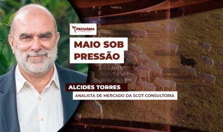 Alcides Torres - Analista de Mercado da Scot Consultoria