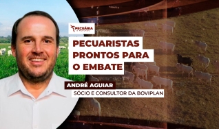 André Aguiar - Sócio e Consultor da Boviplan