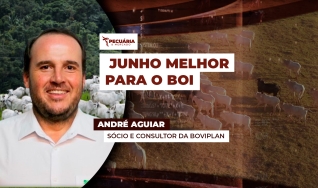 André Aguiar - Sócio e Consultor da Boviplan