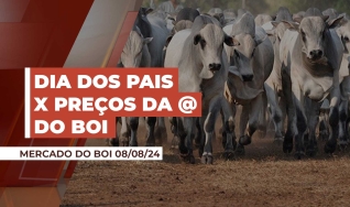 Thiago Bernardino de Carvalho - Pesquisador do Cepea