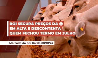 Eberti Aguiar - Consultor da Hegde Agro Consultoria