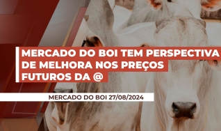André Aguiar - Sócio e Consultor da Boviplan