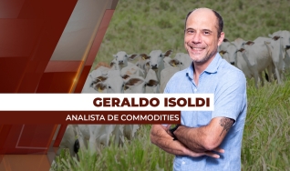 Geraldo Isoldi - Analista de Commodities