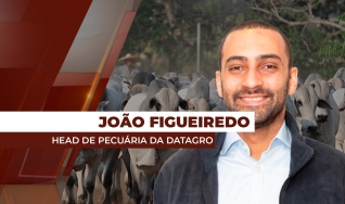 João Otávio Figueiredo - Head de Pecuária da DATAGRO