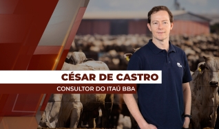 César de Castro Alves - Consultor de Agronegócio do Itaú BBA
