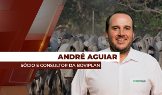 André Aguiar - Sócio e Consultor da Boviplan