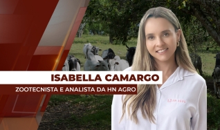 Isabella Camargo - Zootecnista e analista da HN Agro