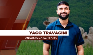 Yago Travagini Ferreira - Analista de Mercado da Agrifatto