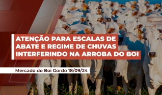 Douglas Coelho - Sócio da Radar Investimentos