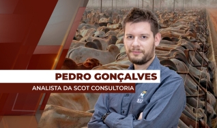 Pedro Gonçalves - Analista de Mercado da Scot Consultoria