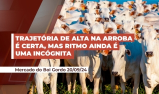 Thiago Bernardino de Carvalho - Pesquisador do Cepea